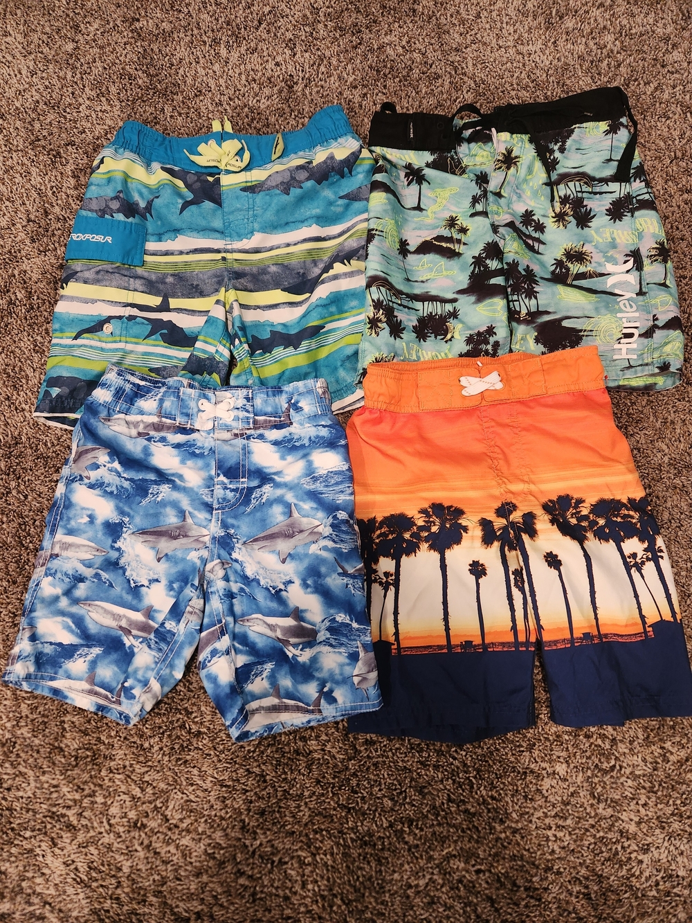 Boys' Blue, Green & Orange Tropical Swim Shorts Set